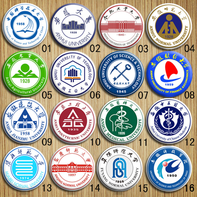 安徽本科高校中科大校徽标识胸牌