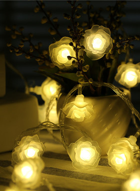 玫瑰花LED彩灯闪灯串灯 个性房间卧室布置寝室宿舍文艺浪漫装饰灯