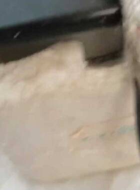 议价TEXIO DL-1060  DL-1060R 德士 六位半适用