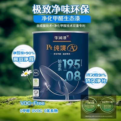 即时住全国热卖同款正品华润漆A+