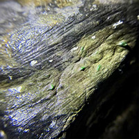 翡翠原石玉石毛料莫灣基松花色帶