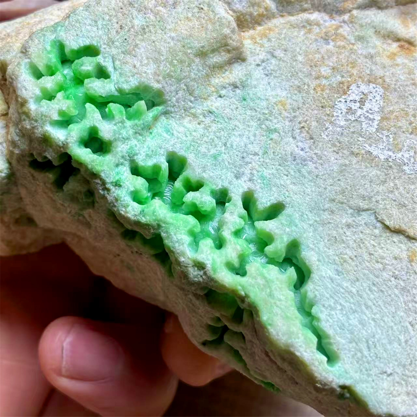 天然老坑翡翠玉石木那满色牌子料
