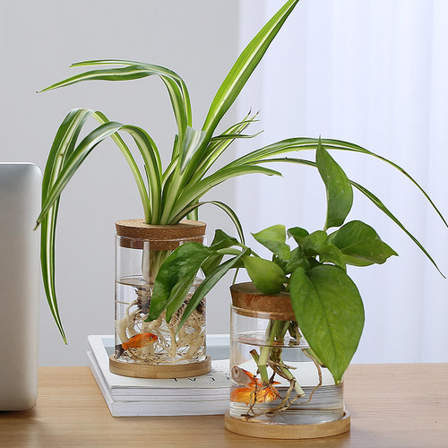 欧式玻璃花瓶透明水培植物客厅