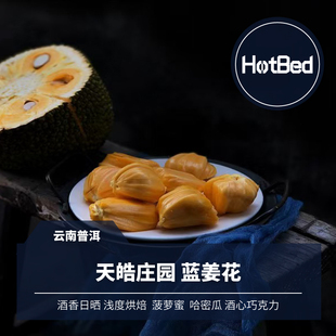【温床咖啡】云南普洱 天皓庄园 酒香日晒 蓝姜花