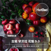 古姬 埃塞俄比亚 罕贝拉 日晒花魁9.0 每包12克 5包 挂耳