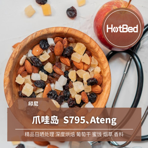 【温床咖啡】深烘印尼爪哇岛精品日晒 香料果干香气 手冲SOE都可