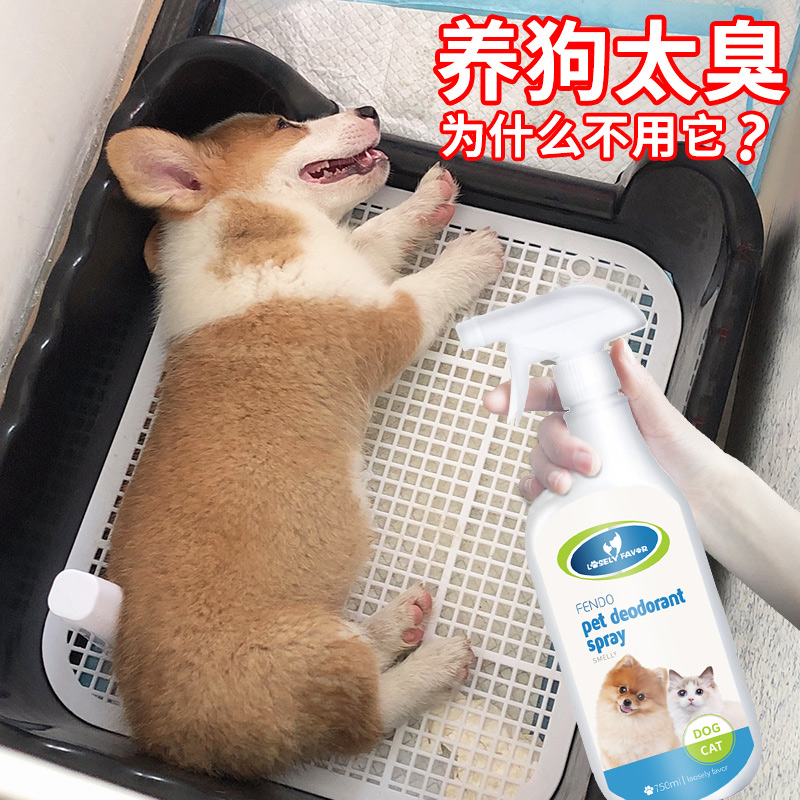 狗狗除臭剂室内去味杀菌喷雾消毒液