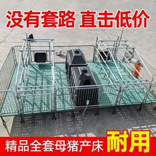 母猪用产保单体分娩床保育床一体两用复合板定位限位栏养殖设备