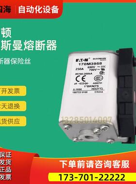 快速熔断器保险170M3984 170M3985 170M3986 170M3987【议价】