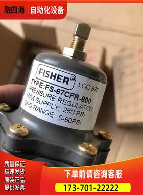 FISHER费希尔FS-67CFR-600过滤器601,224,225,226,362 67CFR-226