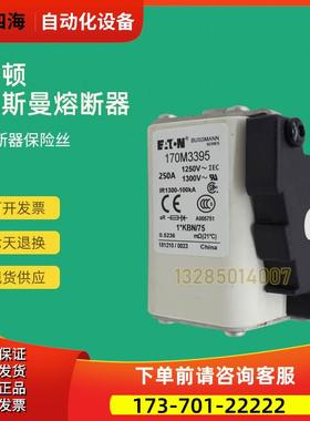 快速熔断器保险170M3390 170M3391 170M3392 170M3393【议价】