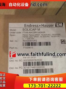 E+H FTI55-AAC2RVJ43A2A 恩德斯豪斯电容式物位计 Solicap FEI54