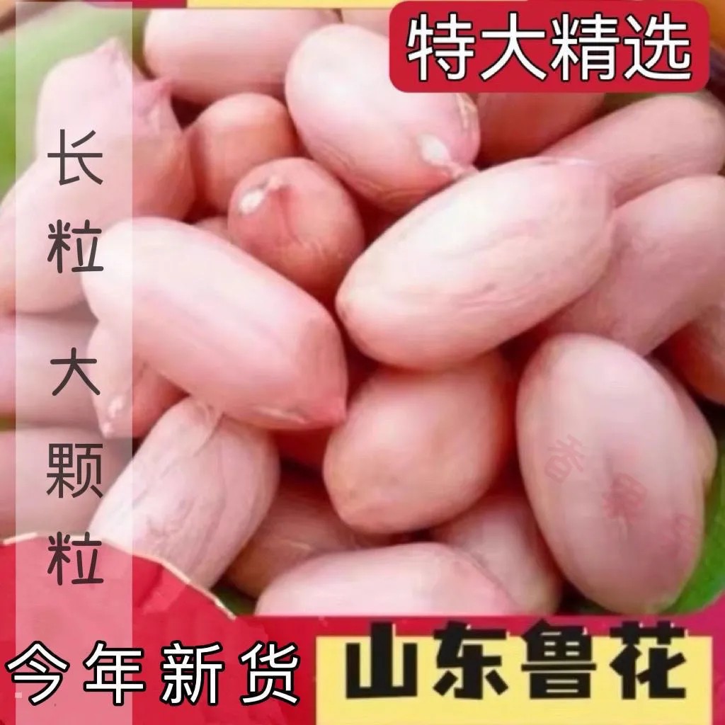 2025年新花生米特级大颗粒新货特大粒花生仁新鲜粉红皮晒干生花生
