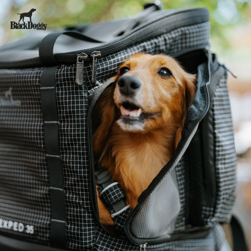BlackDoggy山野宠物外出背包不沾毛猫狗包双肩 小型犬防水宠物包