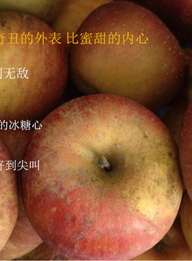 雁子家新鲜水果云南富民农家自种高山冰糖心中果丑苹果