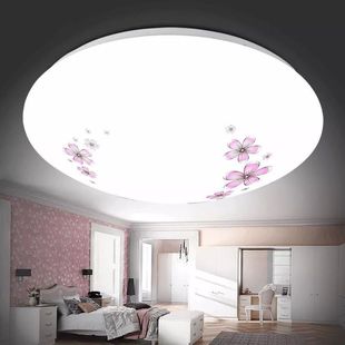 樱花茶花款 包邮 LED吸顶灯卧室客厅室内走廊厨房厕所节能家用超亮