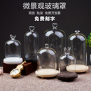 创意简约永生花玻璃罩3D手握模型桌面摆件蜡烛微景观防尘展示罩子