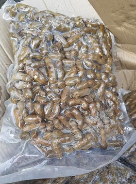 卤味盐水煮花生下酒菜熟商用湿皮带壳五香卤味花生烧烤零食小吃