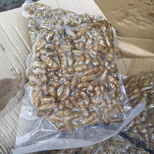 卤味盐水煮花生下酒菜熟商用湿皮带壳五香卤味花生烧烤零食小吃