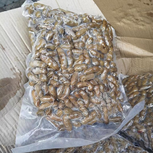 卤味盐水煮花生下酒菜熟商用湿皮带壳五香卤味花生烧烤零食小吃