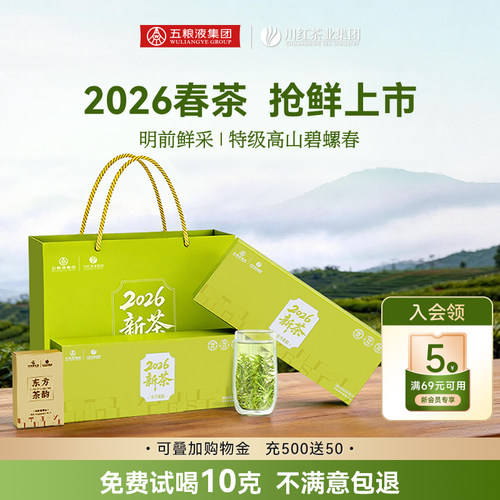 川红茶业2026新茶明前特级绿茶林湖碧螺春鲜嫩茶叶高山茶60g*2