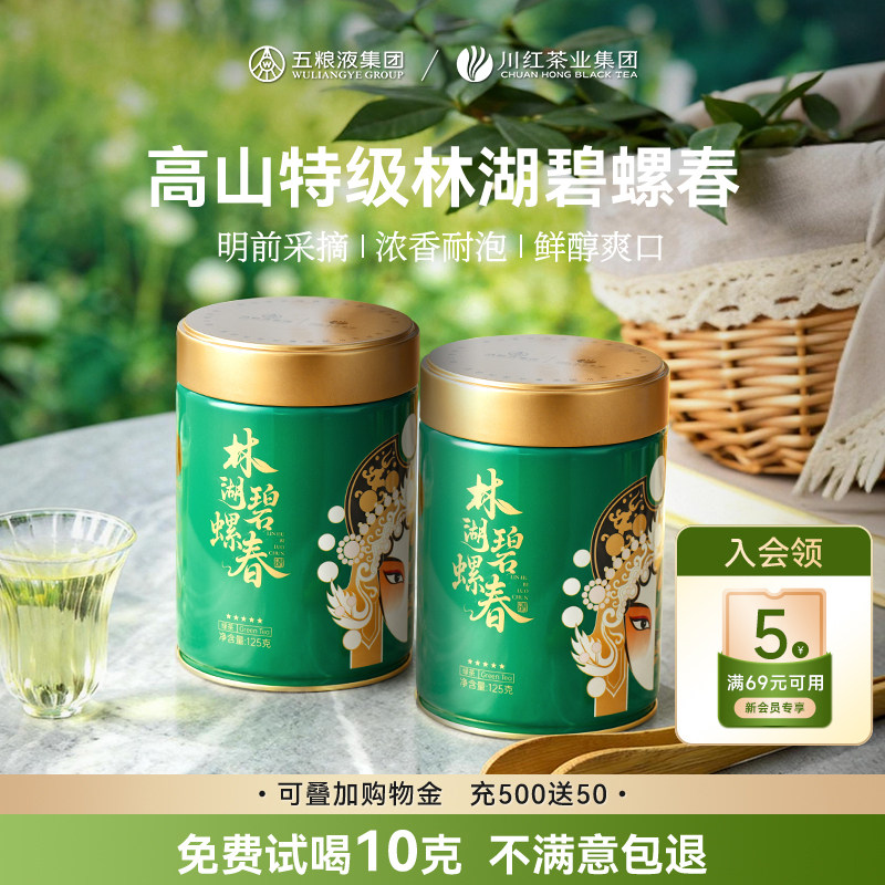 五粮液&川红特级林湖碧螺春浓香型耐泡茶叶自己喝明前绿茶共250g