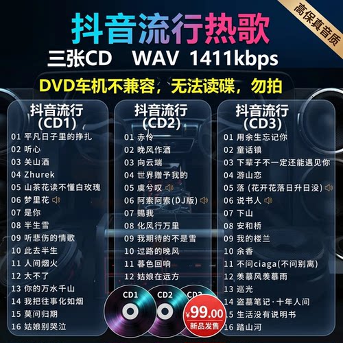 抖音流行3CD车载CDWAV无损