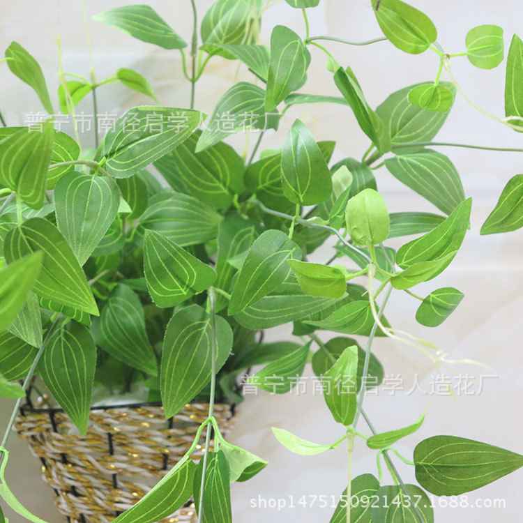 96cm 铁线莲叶假花仿真花壁挂藤条仿真金银花叶婚庆装饰仿真植物