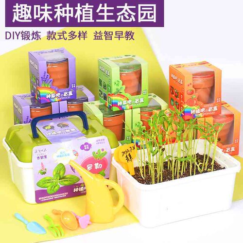 儿童迷你种植盲盒花卉蔬菜 DIY观察盆栽植物幼儿园科教礼物