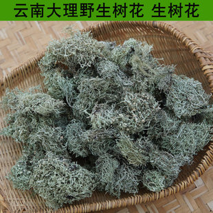 云南特产大理天然山珍野生树花绿色树花菜树胡子凉拌菜干货生树花