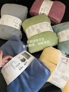 日系订单！Y家同款 秋冬保暖亲肤慕斯A类380克超柔天鹅绒床笠床单