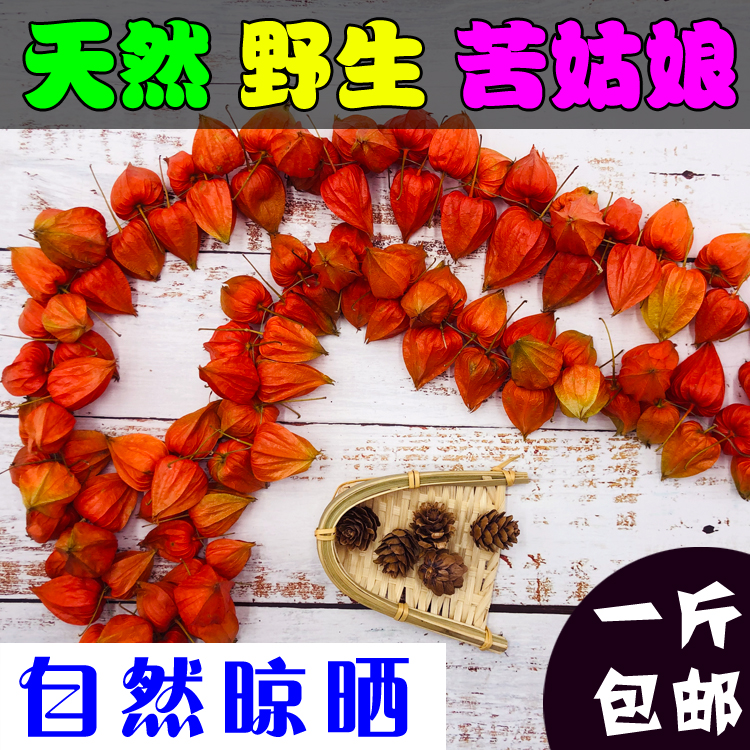 东北野生红苦姑娘果干酸浆挂金锦灯笼果红姑娘果皮干新鲜泡水新货