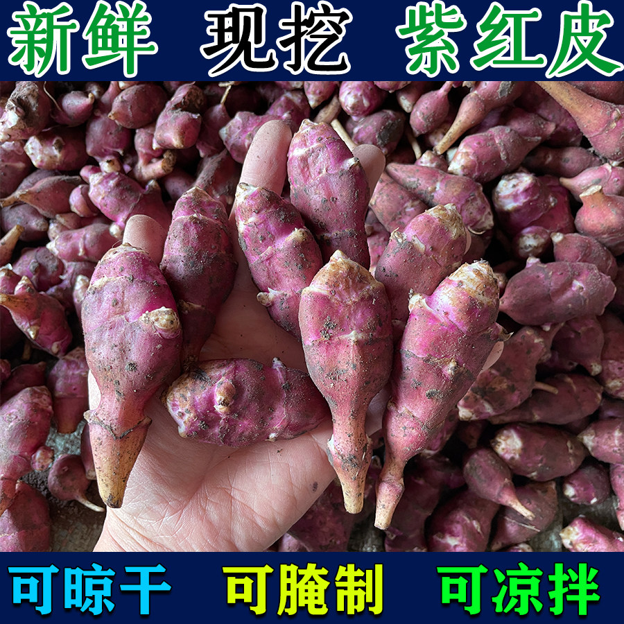 胰岛果新鲜现挖紫色洋姜红皮鬼子姜地环腌制咸菜姜不辣紫皮包邮