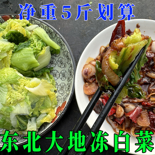 东北冻白菜扒了颗半心菜焯水蘸酱菜切好特产扒拉颗菜新鲜包邮冻货