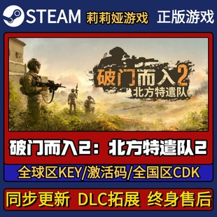 破门而入2:北方特遣队Steam正版游戏激活码CDK入库 Pc简中全DLC