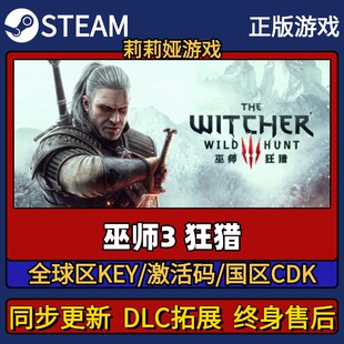 巫师3狂猎 Steam正版游戏激活码CDK入库 Pc简中全DLC入库