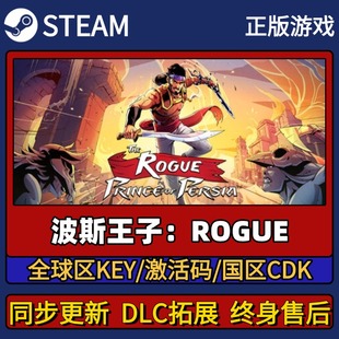 CDK入库 游戏激活码 Pc简中全DLC入库 Steam正版 波斯王子：ROGUE