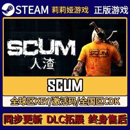 SCUM Steam正版游戏激活码CDKEY入库 Pc简中全DLC激活