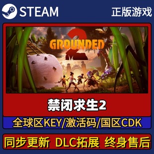 禁闭求生2 Steam正版游戏激活码CDK入库 Pc简中全DLC入库