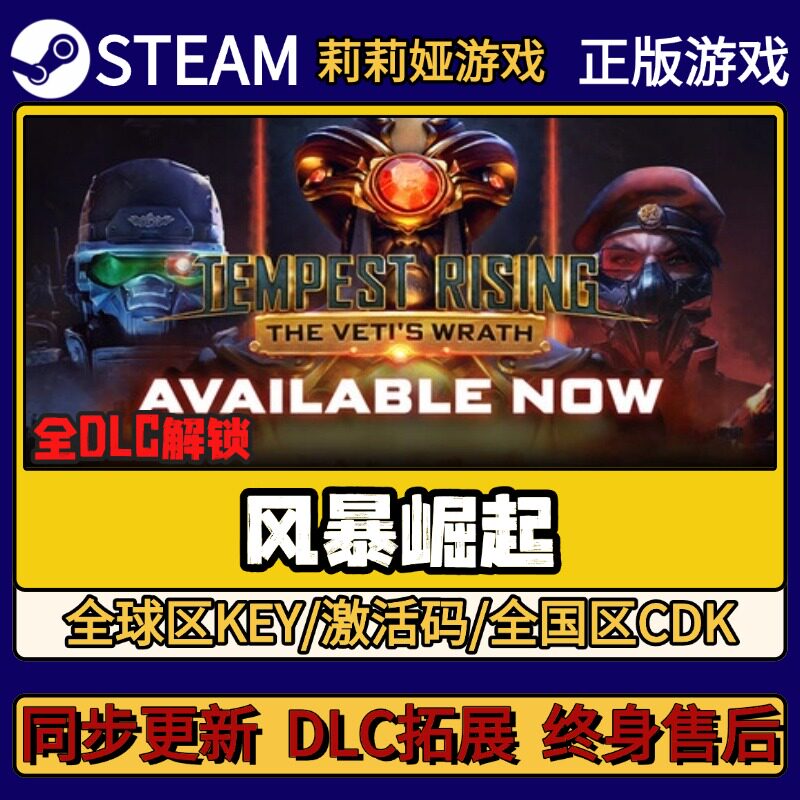 风暴崛起 Steam正版游戏激活码CDKEY入库 Pc简中全DLC激活