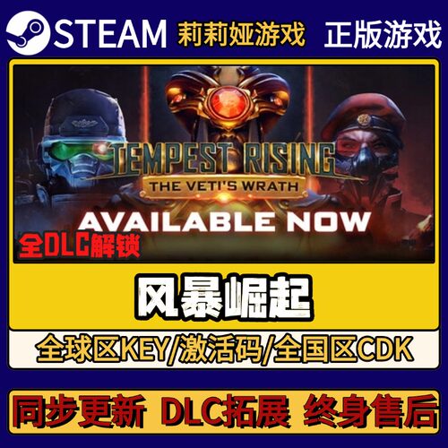 风暴崛起 Steam正版游戏激活码CDKEY入库 Pc简中全DLC激活