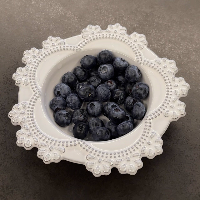 astier de villatte法国黑陶土冬日雪花碗