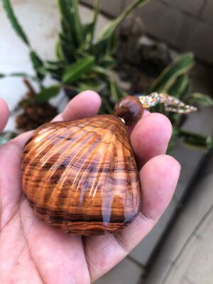 海南黄花梨油梨老料水波山水纹贝壳手把件挂件吊坠