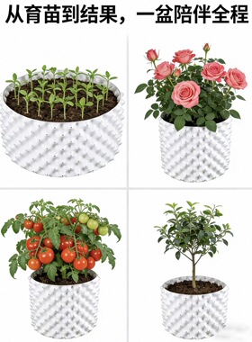 白色控根器围树板栽培控根景观多规格植物育苗家用高植树排水盆栽