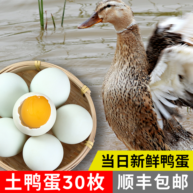 土鸭蛋大河放养千荟顺丰配送
