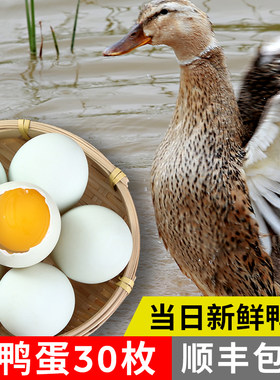 土鸭蛋大河放养千荟顺丰配送