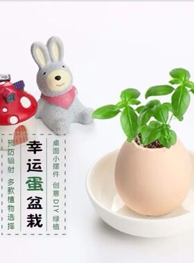 幸运蛋绿植盆栽新奇绿色礼品赠品小草幸运蛋仿真鸡蛋壳小盆栽