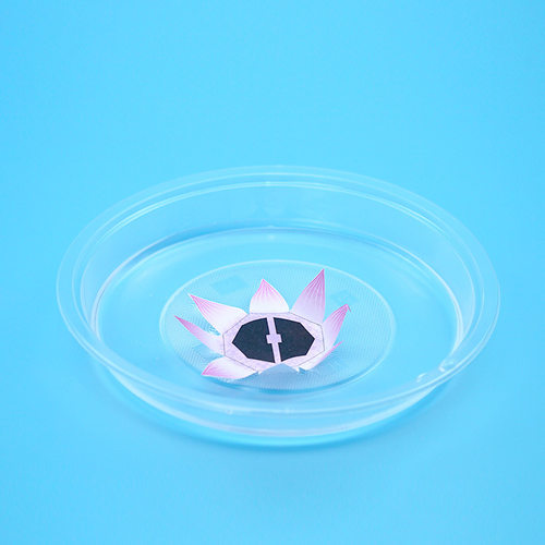 儿童diy科学实验水中绽放的纸花物理教具幼儿园科技小制作玩具