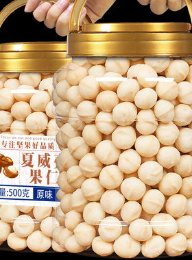 芥末味夏威夷果仁500g散装小包装坚果零食黄瓜咸蛋黄500g
