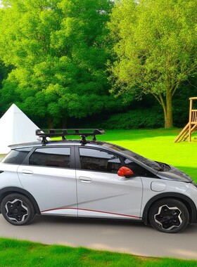 比亚迪海豚海鸥专用汽车行李架欧拉好猫黑猫长安奔奔est车顶框架